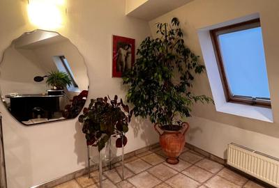 Apartament situat pe str I C Bratianu in Centrul istoric - 13