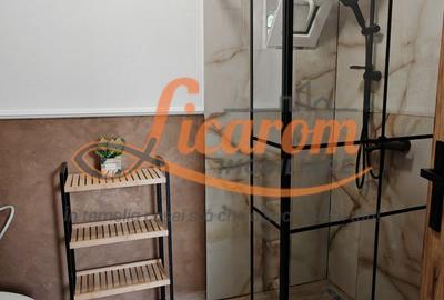 Apartament tip Casa 4 camere strada Carpatilor,totul nou. - 2