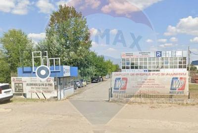 Hala si teren, depozitare, parcare-Spațiu industrial - 25