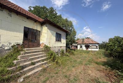 Casă bătrânească + teren 1.032 mp, Purcăreni, Argeș - 3