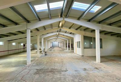 Hala de inchiriat in Satu Mare I Parc Industrial ARELI I 162 mp I 324 mp I900 mp - 6
