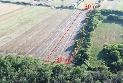 Teren pentru case la padure in Bolintin Deal. aces la 2 drumuri. - 2