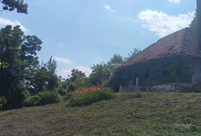 Casă bătrânească plus teren 9515 mp. Sălătrucel sat Serbănesti - 3