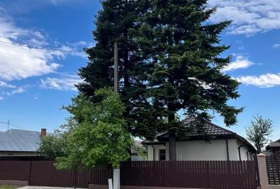 🏡 CASĂ + TEREN INTRAVILAN 4.971 MP – URECHEȘTI, VRANCEA - 11