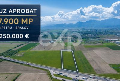 Teren Construcții intravilan de 17900 mp, în Triaj