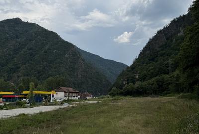 Teren de vânzare – 13.500 mp | DN7 – Valea Oltului | Brezoi - 10