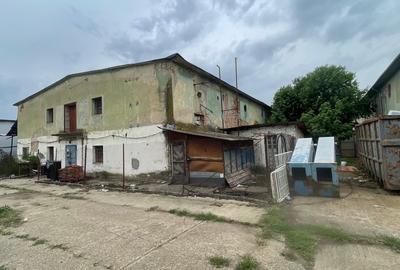 Complex industrial/Ferma de vânzare | Orțișoara, jud. Timiș - 11
