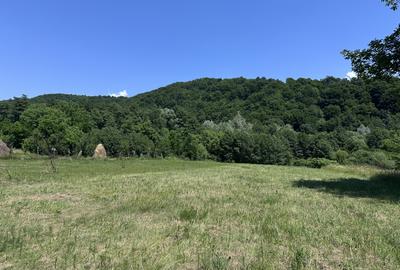 Investiție Turism | Casă | 5164 mp teren | Lac Propriu | Malu cu Flori - 18