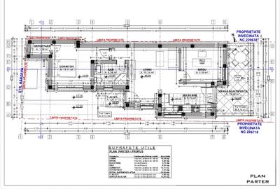 Casă individuală cu 3 camere în Colentina