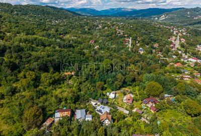Teren 3.886 mp, Breaza - Podu Vadului, 30 m deschidere la asfalt - 10