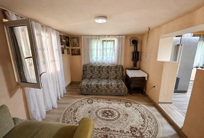 Casă de vânzare – Botoșani, aproape de centru | Teren 4.013 mp | Livadă | 268.50 - 12