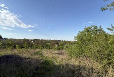 Casă de vânzare | Horodniceni | 3200 MP Teren intravilan - 11