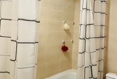 Aparatorii Patriei 2 camere langa Monaco Towers - 6