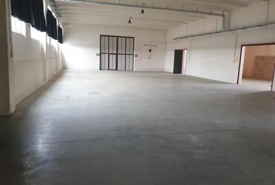 Inchiriez Spatiu industrial Hala  langa A1 spre Timisoara - 10