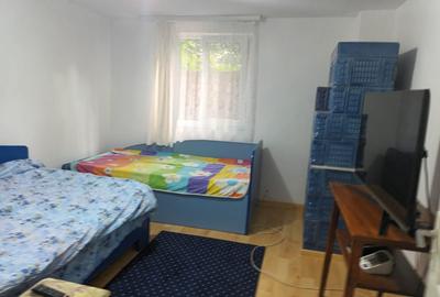 Casa cu 1ha teren la Baisa - 7