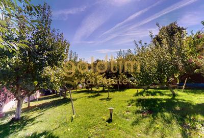 VILA SUPERBA/ DESCHIDERE LA LAC/PISCINA/CURTE/GRADINA AMENAJATA/BALOTESTI - 38