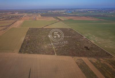 Ocazie- Teren Intravilan de Vanzare- Peris Snagov- Doar 10 euro/mp - 12