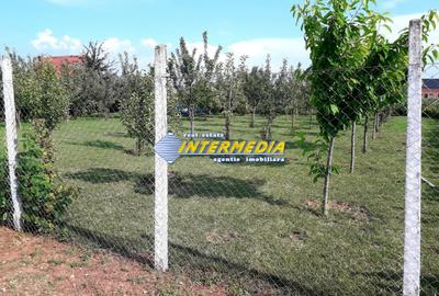 Teren Intravilan 481mp Alba Micesti, utilitati - 2