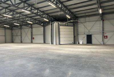Hala de inchiriat depozitare si productie 1550 mp. Mogosoaia - Buftea - 3
