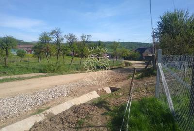 Teren 2500 mp-ideal agricultura/cabane/sera-panorama-Monariu - 2