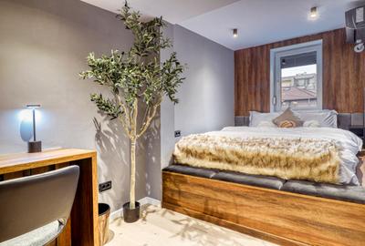 Apartament 3 camere in vila I Primaverii - Televiziune - 7