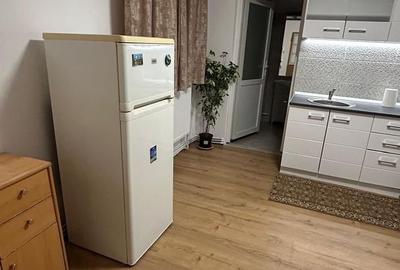 GARSONIERA - RAHOVA, PET-FRIENDLY, MOBILAT/UTILAT MODERN, CURTE - 13