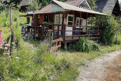 Proprietate pe Valea Vâlsanului – Cabane din lemn + Casă ecologică COB - 6