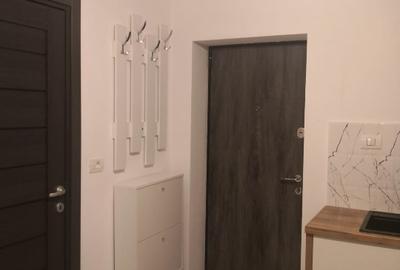 Apartament cu o cameră in Arad de închiriat / One Bedroom Flat to rent in Arad - 10