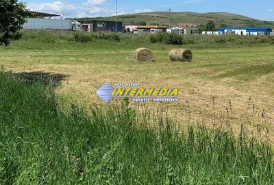 Teren intravilan Industrial 9400 mp d=31 m Alba Iulia Zona Ambient cu Utilitati - 1