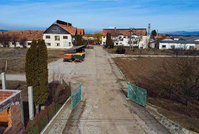 Ansamblu agrozootehnic cu renume,dotat +valoare exceptionala+potential versatil, - 10