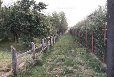 Teren la Strada EUROPEANA , CU TOATE UTILITATILE parcele de case - 6