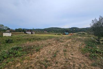 Teren localitatea Balata - 6