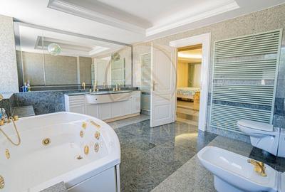 Ultracentral -Cladire impozanta  D+P+2E. - 31