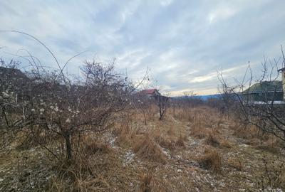 Teren situat in zona Bucium- Pietrarie - 1