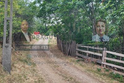 Teren generos 2186 mp cu casă bătrânească – Copăcești, județul Vrancea - 4