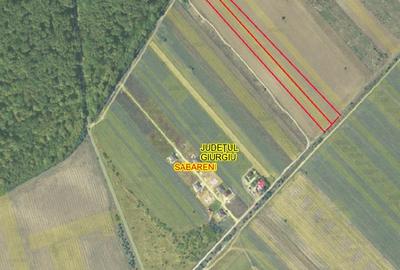 SABARENI, LOT 10.000 MP! - 3