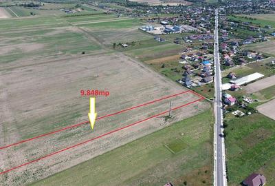 Teren in Golesti 9.848mp intravilan + extravilan  pret 6 euro / mp - 5