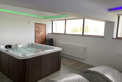 Vila de lux cu piscina si spa Cisnadie super view - 11