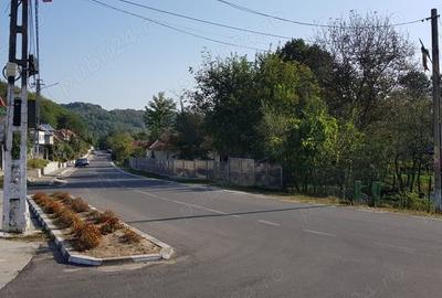 Casă cu 1,6 Hectare de Teren lângă Mănăstirea Govora - 6