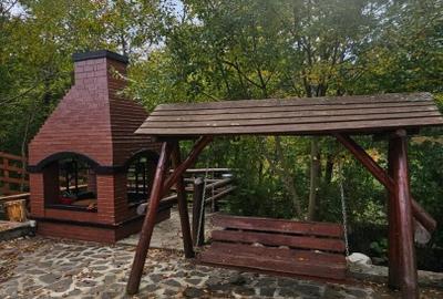 De vanzare cabana deosebita - cadru natural - zona Cheia-Prahova - 15