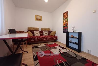 Apartament 3 camere decomandat, Mircea – Str. Cerna, disponibil imediat - 10