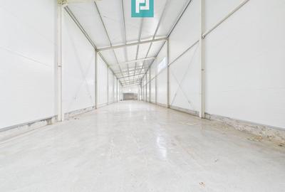 Hală nouă 563mp în zona industrială Sânandrei - 5