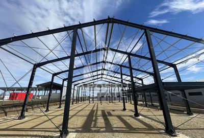 Hala noua cu rampa tir, 540 mpu, Giarmata - 4