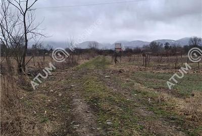 Teren intravilan de 2679 mp in Porumbacu de Sus din Sibiu - 3