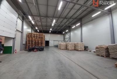 Hala industriala 572 mp, teren 1.615 mp - Zona Sud Timisoara - 5