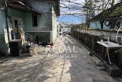 Casă de vânzare în Călanul Mic –  2 clădiri, curte, grădină, garaj - 3