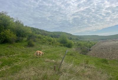 Teren intravilan Corunca – 1000 mp – vedere panoramică 180° + acces pădure – ult - 2