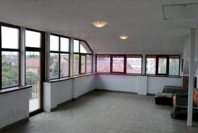 Vila Spatioasa Bucuresti Prelungirea Ghencea - 9