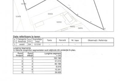 Teren intravilan la intrare în Vetiș – 12.216 mp - 7