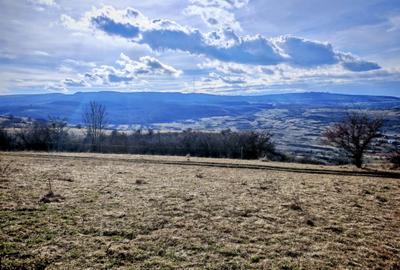 TEREN INTRAVILAN ,17.350 mp , in zona BORHANCI - SOPOR - 4